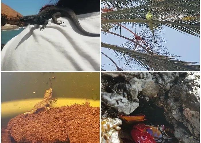 Apartment Sea Mountain In Atlantico